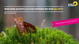 #GrueneVorOrt - Grüne Landkreis Harburg