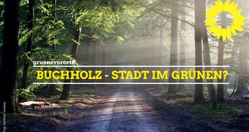 buchholz-stadt-im-gruenen-1