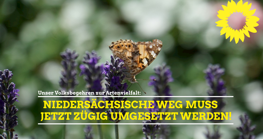 niedersaechsische-weg-muss-jet