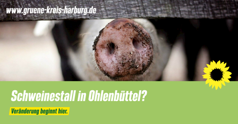 Schweinestall in Ohlenbüttel?